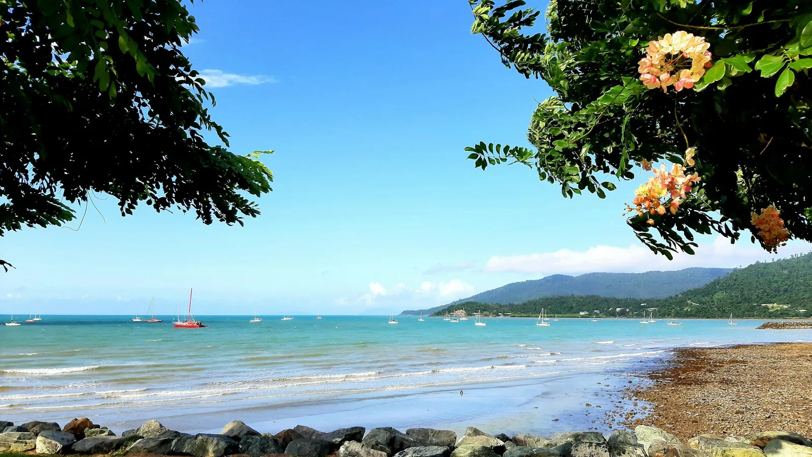 Airlie Beach foreshore with boats on the water
