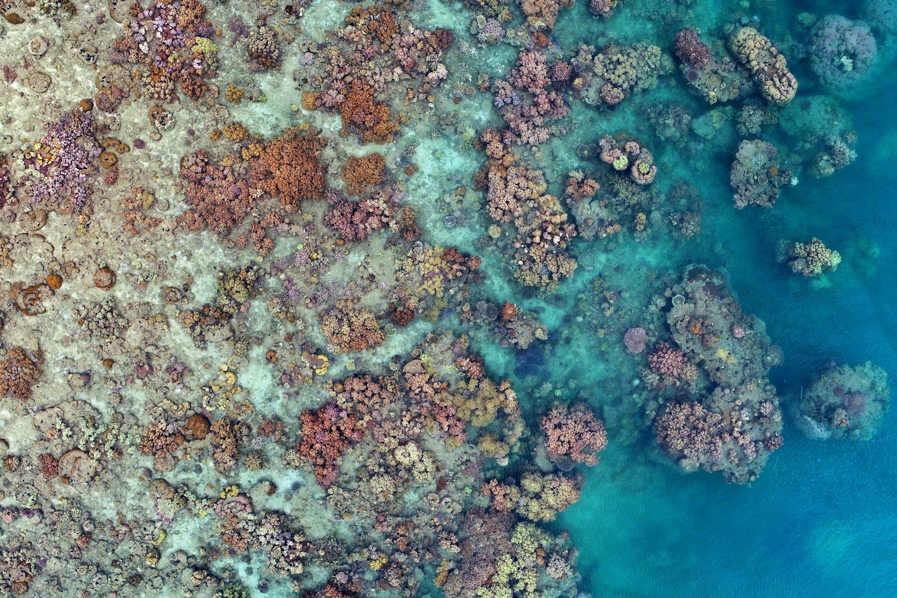 Coral formations seen from above on the Great Barrier Reef
